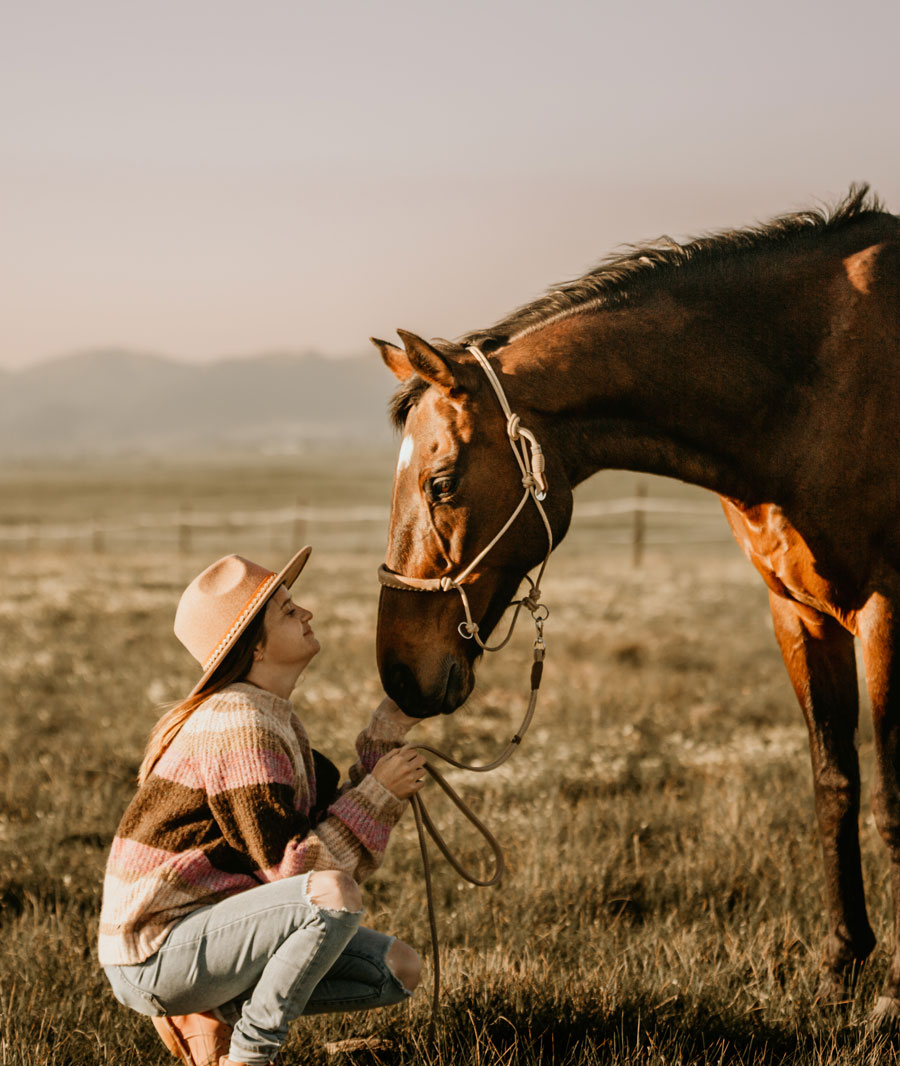Horse trainer