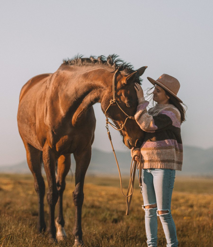 Horse behaviour Cape Town