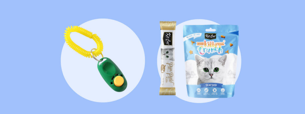 clicker training tools