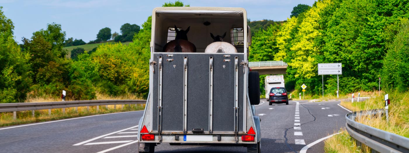 horse trailer boxing help