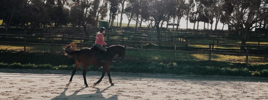woman riding bay horse
