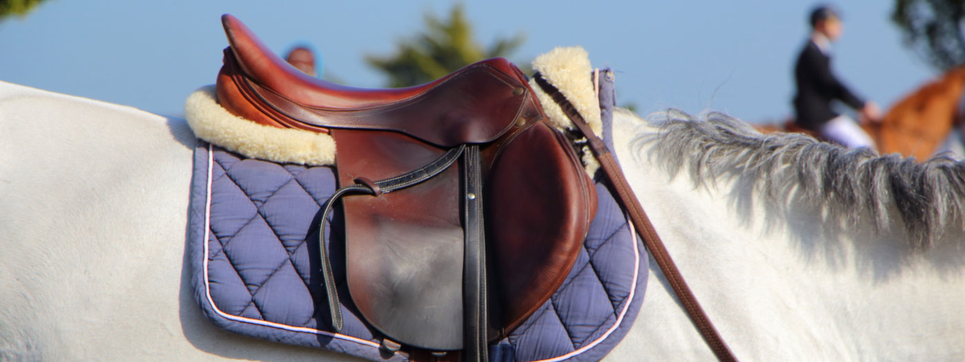 Horse saddle fit
