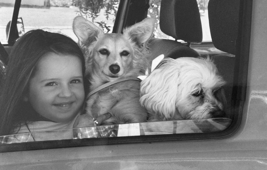 girl and her two dogs